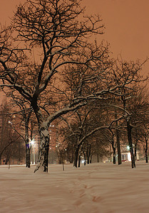 冬季之夜季节城市公园大街场景灯笼降雪雪堆街道风景图片