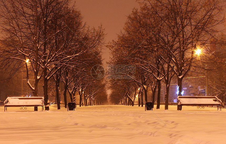 冬季之夜雪堆场景街道大街灯笼公园季节风景城市降雪图片