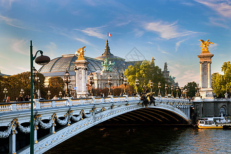 法国巴黎大宫 法国巴黎展览雕像蓝色旗帜建筑学世界建筑圆顶画廊景观图片