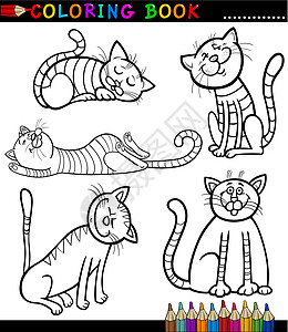 用于着色书的卡通猫或小目标虎斑快乐漫画绘画鼠标孩子们染色彩页蜡笔幼儿园背景图片
