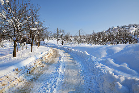 白雪路 意大利皮德蒙特图片