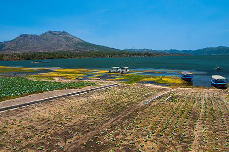 巴图尔湖 印度尼西亚巴厘旅行风景山脉天空蓝色爬坡热带森林钓鱼场景图片