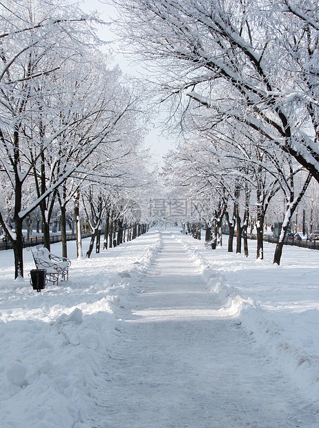 冬季白天的街道雪堆大街小路自然长椅树木公园白色季节分支机构图片