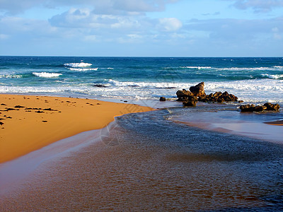 霍普金斯河和太平洋场景绿地潮汐海洋环境荒野岩石海滩支撑生态图片