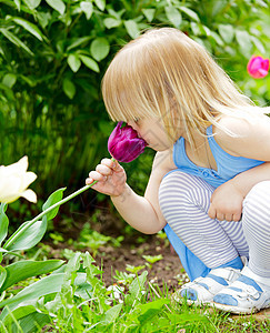 儿童闻花香绿色快乐女孩孩子花园粉色鼻子植物学香味金发图片