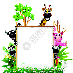 带空白标志的嬉笑动物旅行热带河马狮子山魈森林丛林哺乳动物卡通片犀牛图片