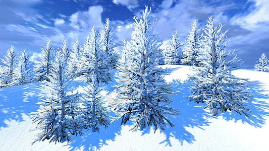 圣诞 魔林森林童话晴天天空暴风雪降雪太阳首脑旅行木头图片
