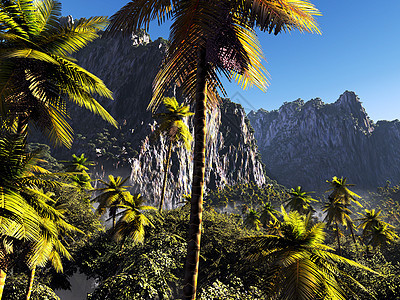 热带热带景观棕榈天堂花园植物天空全景叶子气候日出阳光背景图片