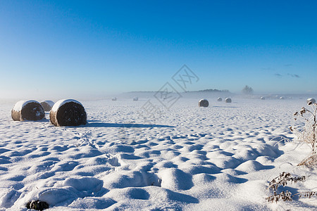 田地上的雪雪图片