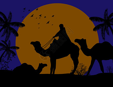 贝都因骆驼大篷车荒野天空护航旅行艺术历史灰尘假期巡航贸易图片