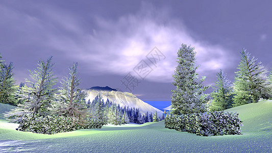 圣诞 魔林高地植物群环境森林童话暴风雪天空假期旅行季节图片