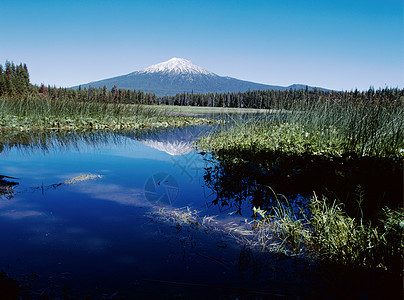 俄勒冈州卡斯凯德州的霍斯默湖与学士山反射高山首脑顶峰蓝色图片