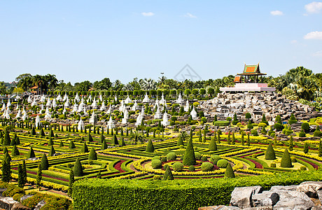 热带花园在泰国的帕塔亚绿色旅行花园蓝色公园露台棕榈旅游热带园艺图片