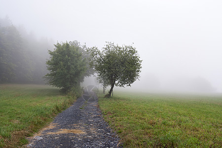 雾地貌情绪阴霾乡村气氛薄雾国家小路图片