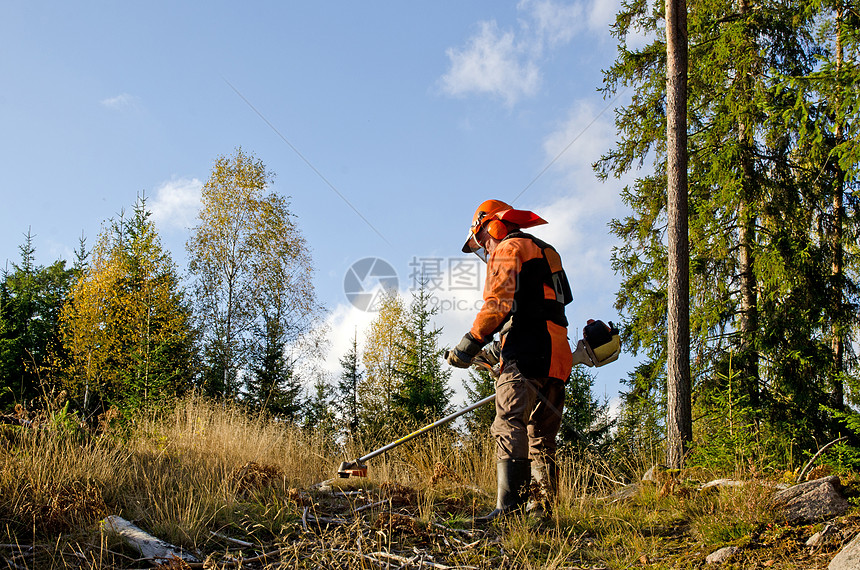 林业工人机器刀具劳动工具刷子安全农业荒野绿色樵夫图片