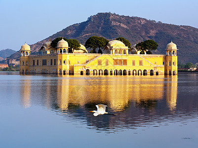 Jal Mahal宫殿爬坡旅行城堡反射乐园旅游历史寺庙文化地标图片