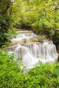 热带热带雨林瀑水天堂公园旅行全景衬套溪流飞溅丛林水景木头图片