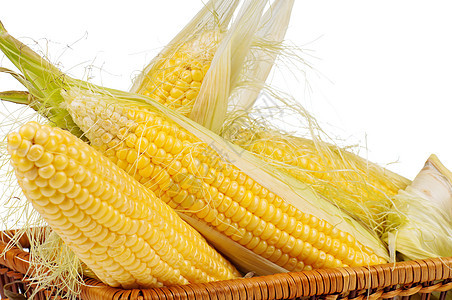 新鲜玉米耳朵食物篮子流行音乐收成饮食爆米花食品膳食农业图片