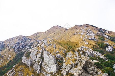 高峰的山边山腰树林天空顶峰地质学森林山顶场景山麓高地图片