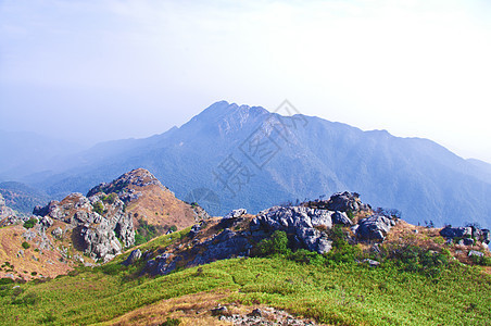 有黄草的山顶首脑布雷山麓顶峰风景山腰高地爬坡垂直度树林图片