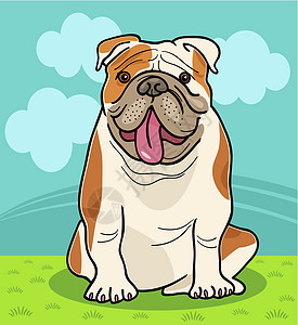 英国斗牛犬狗漫画插图公园绘画宠物乡村英语尾巴斗牛犬棕色卡通片犬类图片