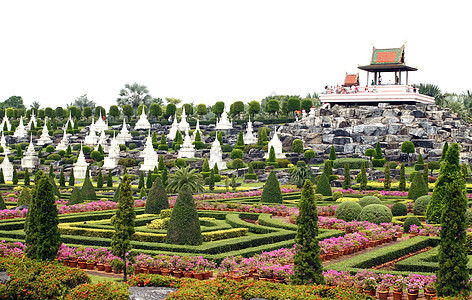 泰国 2012年3月26日 热带植物园寺庙花朵植物群野生动物数字石头公园兰花植物叶子图片