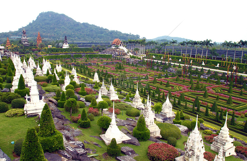 泰国帕塔亚PattayaNongnoooch热带植物园植物兰花叶子农夫野生动物生活数字石头热带紫色图片