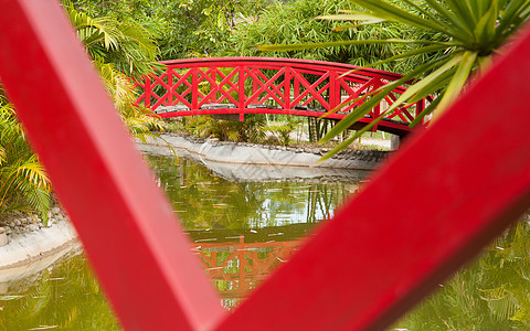 日本花园的红桥 在日本花园的水面上图片