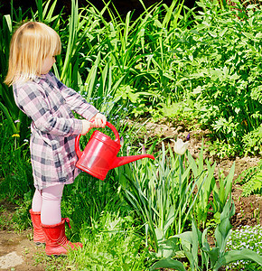 含水罐的女孩植物学叶子郁金香孩子绿色喷壶红色花园院子金发图片