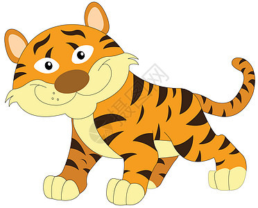 橙色和棕色可爱老虎 插图微笑侵略野猫野生动物条纹豹属荒野绘画动物园哺乳动物图片