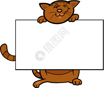 带棋盘或卡片的卡通猫绘画兽医插图宠物木板名片猫科虎斑文凭动物图片