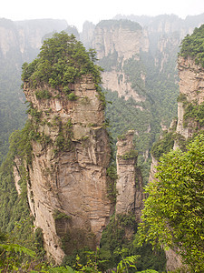张家吉的岩石山公园砂岩遗产地球石头柱子化身森林风景岩石图片