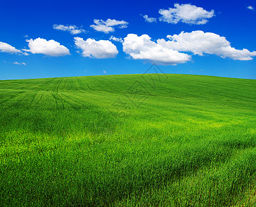 绿绿地远景植物天堂草地天空太阳农村场景地平线国家图片