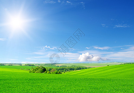 绿地和蓝天空天堂季节远景天空晴天农村土地草原植物场景图片