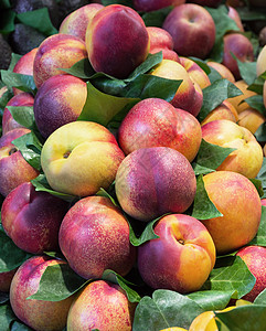 市场上的桃子收成黄色绿色健康白色框架团体油桃食物饮食图片