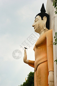 寺 泰国彭世洛雕塑柱子寺庙吸引力佛教徒建筑学地标圣雄雕像旅行图片
