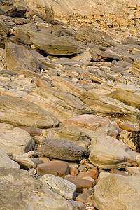 惠特比有嵌入化石的岩石矿化图层动物生物烙印贝壳古生物学地层沉积图片
