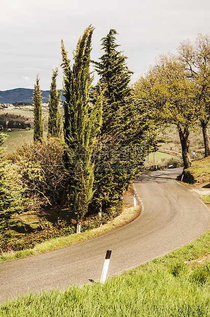 土干公路植被国家乡村爬坡场景场地农村观光绿色风景图片