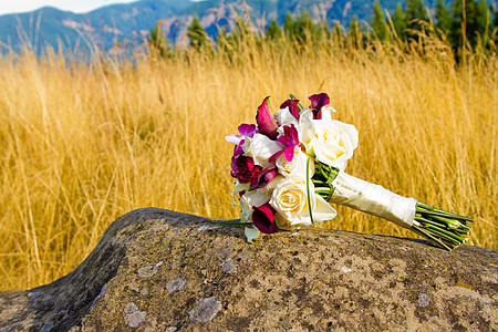 Bridal 布尔插花婚礼白色绿色花束婚姻花朵新娘紫色背景图片