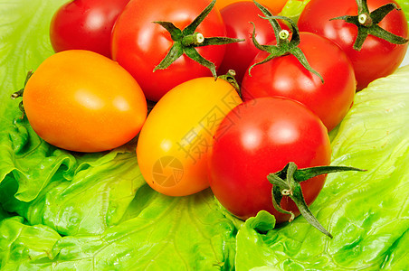 番茄午餐白色美食饮食水果红色蔬菜叶子食物绿色图片