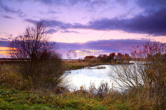 日出在湖面黄色粉色红色荒野戏剧性地平线衬套池塘风景图片