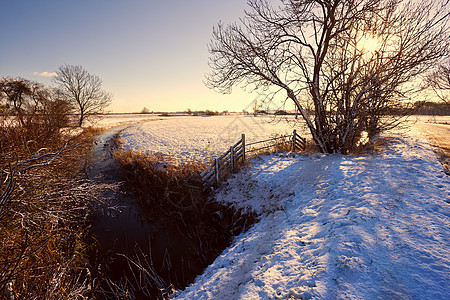 日出时雪中的运河和木栅栏图片