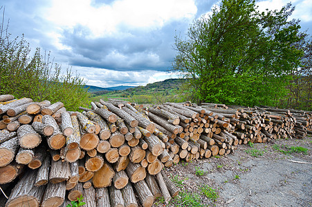 木柴木头资源木材记录器燃烧树木森林木工草地树干图片