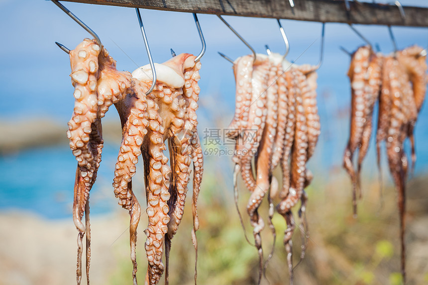 新鲜捕获的鱿鱼章鱼喷射团体市场海鲜食物厨房钓鱼生活烹饪图片