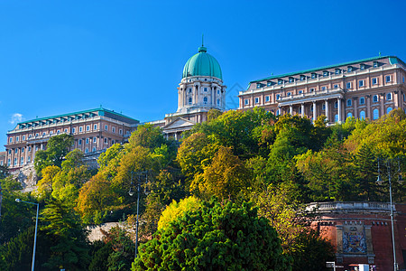 匈牙利布达佩斯Buda Castle爬坡害虫城市地标国家游客城堡景观皇家建筑学图片