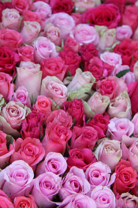 粉红婚礼玫瑰花店花瓣绿色新娘婚姻植物群粉色花朵植物团体背景