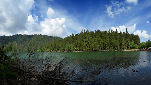 黑湖山脉森林树木巨石全景石头丘陵蓝色岩石风景图片