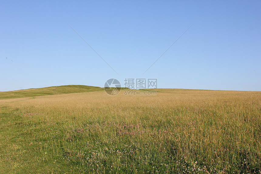 字段农场草地土地树篱草原场景农田丘陵晴天农村图片