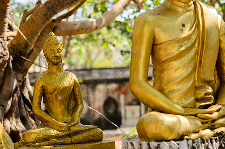 古佛祖崇拜雕像寺庙文化精神宗教地标黄色旅行艺术图片