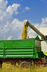 组合收割器国家工作日落叶子大麦粮食谷物蔬菜橙子拖拉机图片